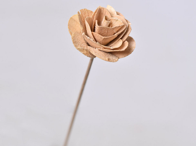 Wood Rose auf 40cm Stiel