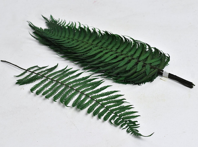 Fern Parchment Fern 40cm 10-Pack