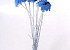 Achillea Parker Helder Blauw 70cm