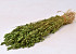Briza Maxima 100gr. Groen