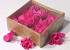 Sola Magnolia 6cm Roze 18pcs