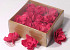 Sola Magnolia 6cm Red 18pcs