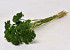 Achillea Filipendula 100gr. Groen