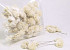 Sola Oeillet 6cm blanc