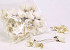 Sola Tulp 6cm white