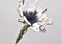 Fleur en mousse 80cm Blanc/Charbon