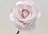 Schaumstoff Rose XL hell Rosa, D 13cm