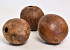 Balloon Fruits Natural D13-16cm