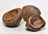 Coconut Half  D12-15cm