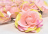 Rose Pink D11cm