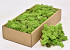 Cladonia Moss Spring Green 500g.