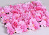 Bloempaneel 60x40cm Roze