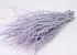 Birch lilac-wash 60cm 50pcs