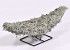 Half Moon Grey Moss 30cm