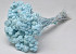 Immortelle du Var 30cm Bleu