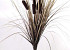 Bosje Rietsigaren 55cm