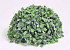 Halbe Kugel Buxus 20cm