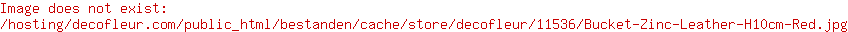 Emmer Zink Leer H14cm Rood