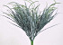 False Aralia Bush 40cm