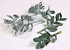 Plante Grasse 16cm