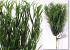 Touffe de Conifere (par 6 pieces) 36cm