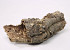 Cork Tube XL 25-40cm
