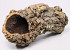 Cork Tube Medium L60-80cm