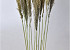 Arundo Mix 110cm