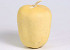 Calabash Apple Bleached 14cm