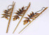 Dried Heliconia 75cm
