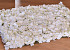 Panneau de fleurs 60x40cm Crème