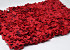 Bloempaneel 60x40cm Rood