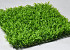 Groene Planten Mat 50x50cm