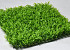 Grüne Pflanze Matte 50x50cm