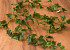 Artificial Ivy Garland 180cm