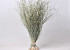 Beargrass 70cm XL +/- 375gr.