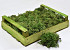 Silbermoos Waldgrün (Kiste 37x28cm)