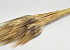 Wheat Black Beard 250gr 75cm