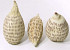 Baobab Drop creme 20-30cm