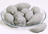 Baobab Grey 8-14cm