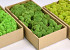 Reindeer Moss Forest Green 500gr.