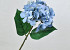 Hydrangea Blue 66cm