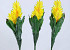 Bromelia 45cm jaune