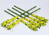 Bromelia 80cm yellow