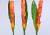 Bromelia 94cm oranje