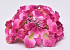 Hortensia Kop D16cm Fuchsia