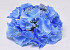 Hydrangea Head D16cm Blue