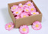 Gerbera 7cm Pink 50-Pack