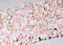 Flower Panel 60x40cm Pink-Cream
