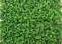 Green Fern Mat 100x100cm